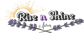 Rise 'N Shine Farm | Lavender for Sale in Bend OR